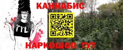 прущие крисы Тверь