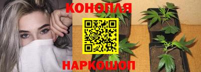 прущие крисы Тверь