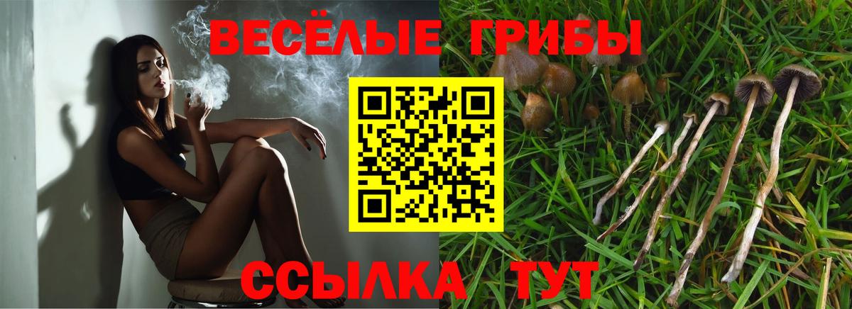 Белорецк  Псилоцибиновые грибы мухоморы  Вход с VPN 